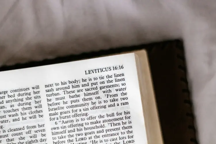 Everyday Holiness