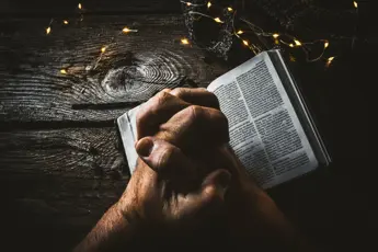 “Behold, Your King is Coming to You”