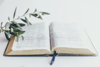 Paul's Prayer for Church Prosperity